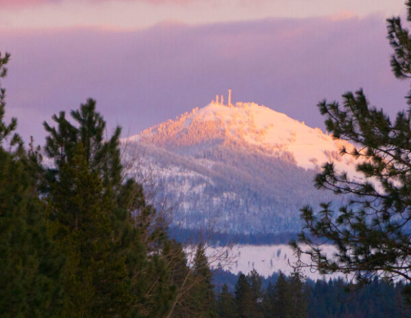 Winter landscape with snowy trees and mountain